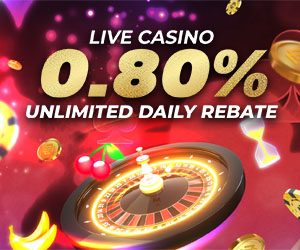 Casino 0.80% Unlimited Daily Rebate