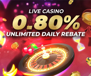 Casino 0.80% Unlimited Daily Rebate